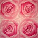 029 Rosen - 3-lagig (blau)